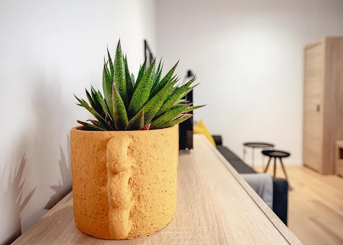 Pamiatkowa 11, 2 Rooms, Self Check In 24h Daire